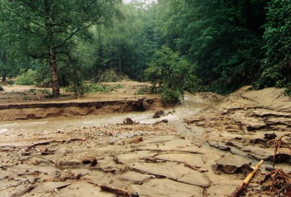 Po powodzi w roku 1997 - dno jeziora powodziowego