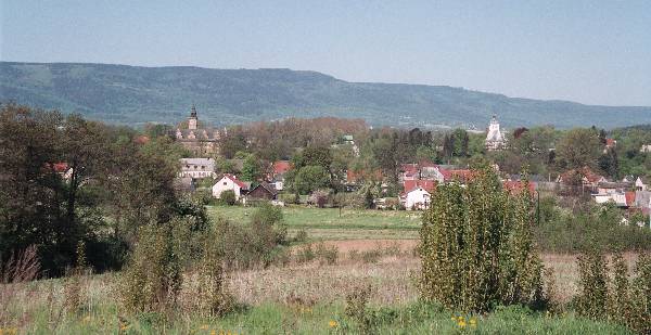 Widok na Gorzanw od strony Mielnika