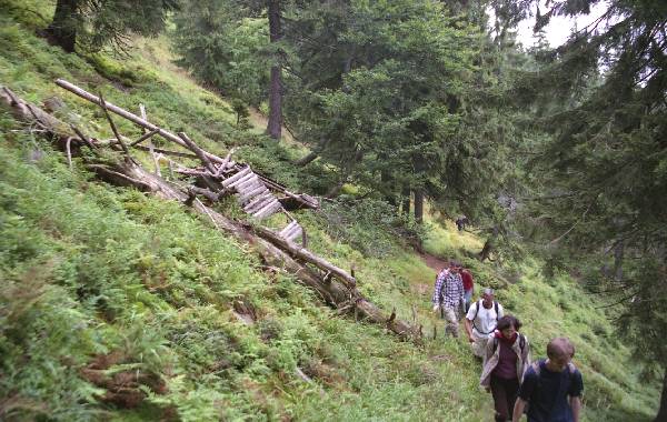 Najbardziej stromy stok nienika - tdy ma pono prowadzi wycig krzesekowy na szczyt.