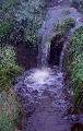 Przełęcz Gierałtowska - Nowy Gierałtów - Prawie wodospad w lesie tropikalnym