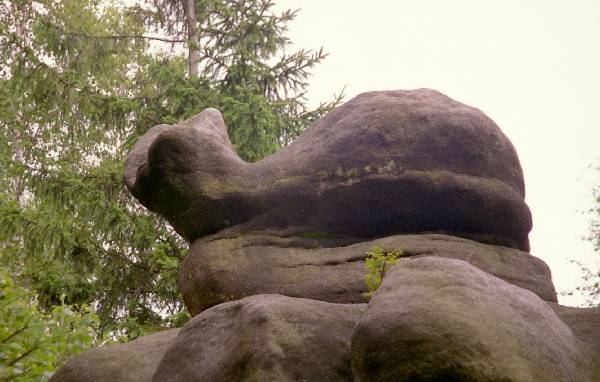 Mae ZOO na Boanowskim Szpiczaku