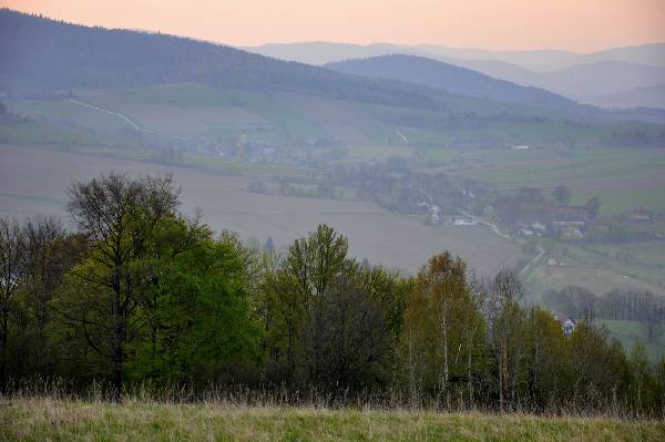 Heinzendorf=Zdarzyce=Skrzynka