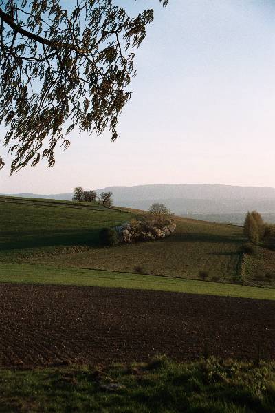 Wrzesie (Jagodna) z rejonu Nowego Waliszowa