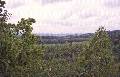 Pustelnik (Krzyowa Gra) - Widok odsonity dziki krawdzi kamienioomu.