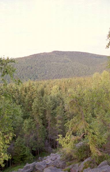 Widok z Bakowej: Rudnik (a za nim Wolarz)