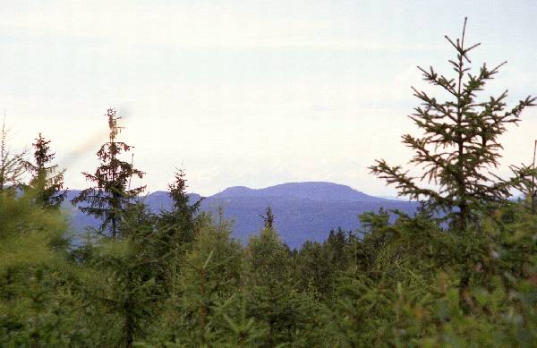 Widok z Bakowej: Szczeliniec