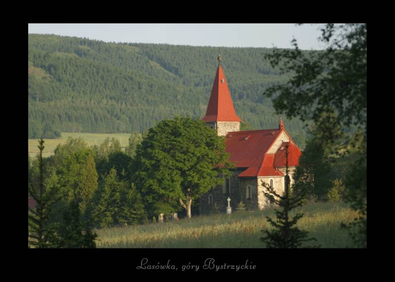 Magdalena Przebida - pocztwka: koci w Laswce