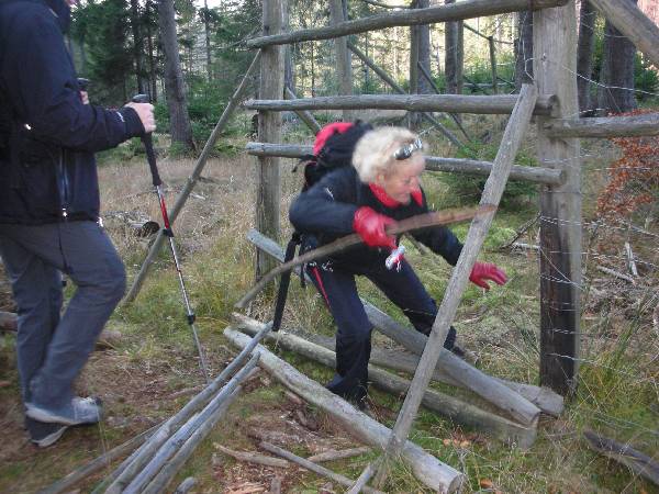 Pokonywanie ogrodze technik dowoln