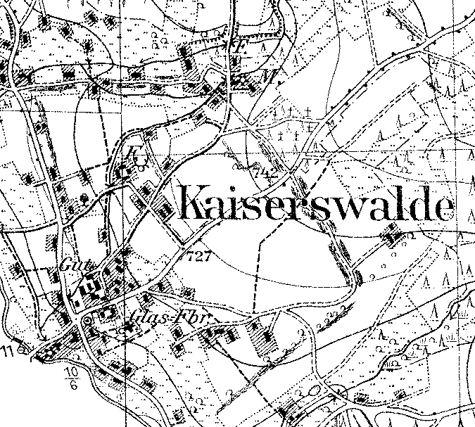 Laswka: droga krzyowa w lesie