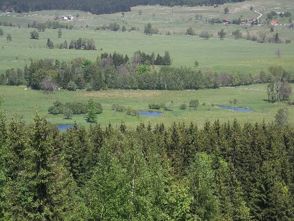 Stawy sztucznie przywrcone naturze