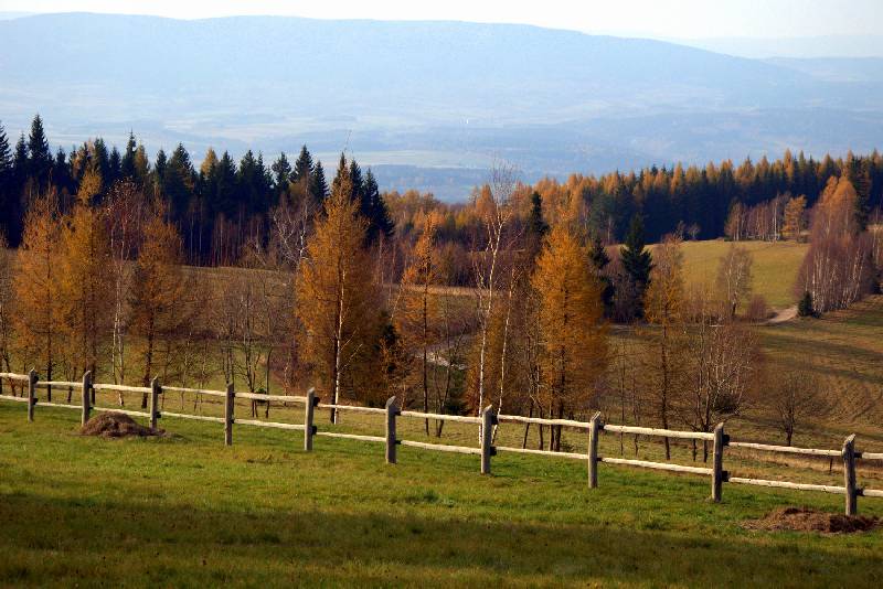 Grska Pera - zdjcie Bogny