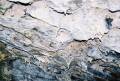 Rogka - Namiastka jaskini - nacieki w wapienniku (jak najbardziej wapienne)