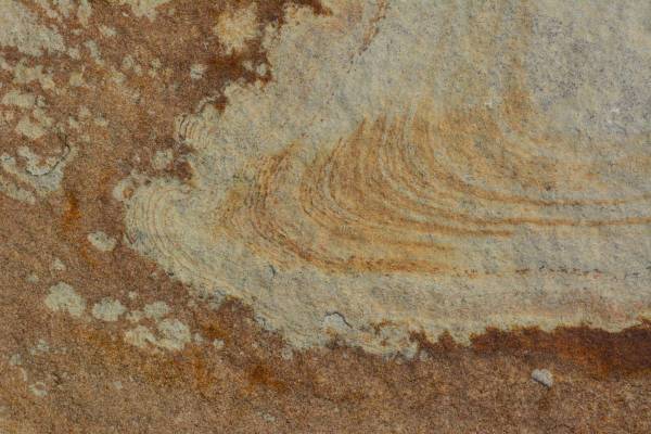 Skrajne oblicza stoliwa: anatomia piaskowca
