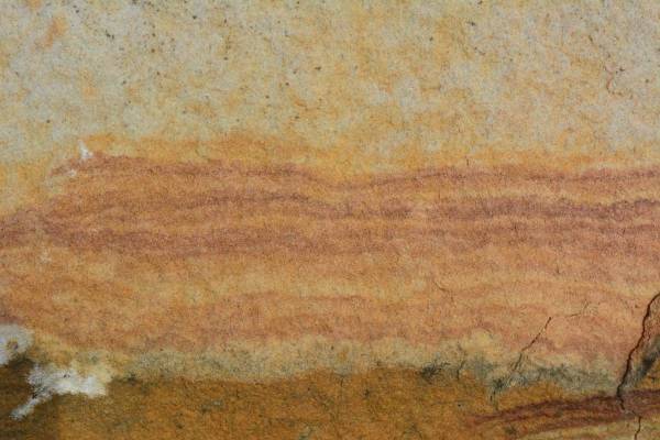 Skrajne oblicza stoliwa: anatomia piaskowca
