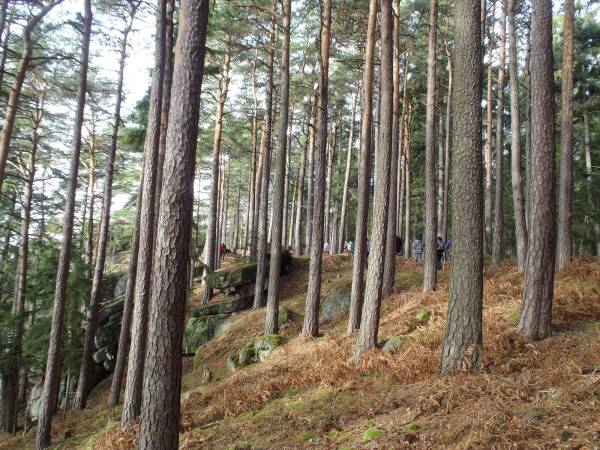 Stoliwo - zdjcie od Marty i Staszka