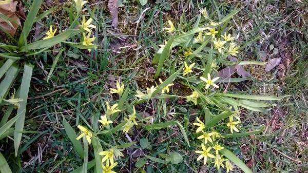 Bicze_20140322_054.jpg