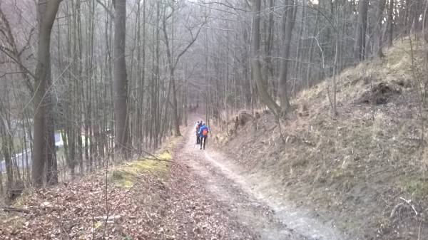 Bicze_20140322_081.jpg