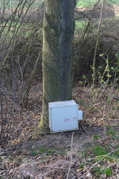 JZ_20140322_4857.jpg