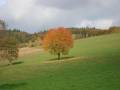 Jaskinia Radochowska - Trzebieszowice - Barwy jesieni