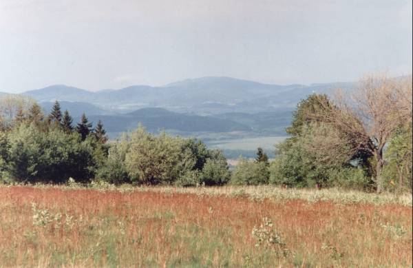 Widok na Jawornik Wielki