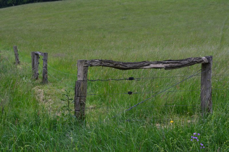 Pastuszek elektryczny - wersja 'de luxe'