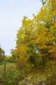 Moravsk Karlov - Kiov hora - Znw troch barw jesieni