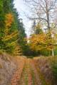 Kiov hora -  rdo Cichej Orlicy - Barwy jesieni