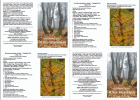 W lesie listopadowym - 2 ulotki (PDF)
