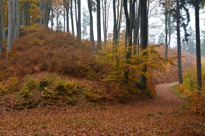 Jesienny las bukowy poniej Diamentowych Ska