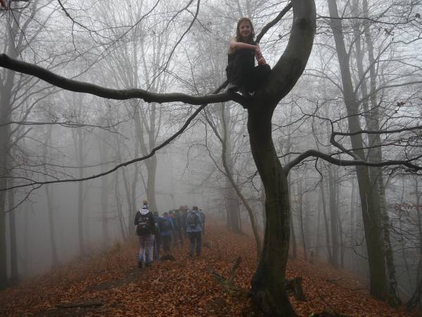 W lesie listopadowym - zdjcie od Boeny