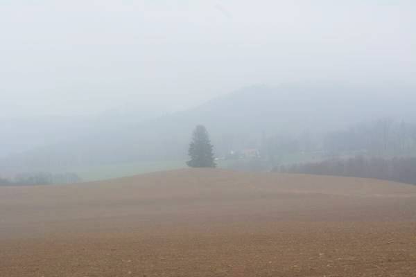 Widok na Podzamek