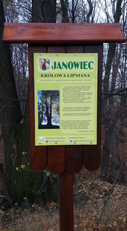 AB_20161111_krolowa_lipniana.jpg