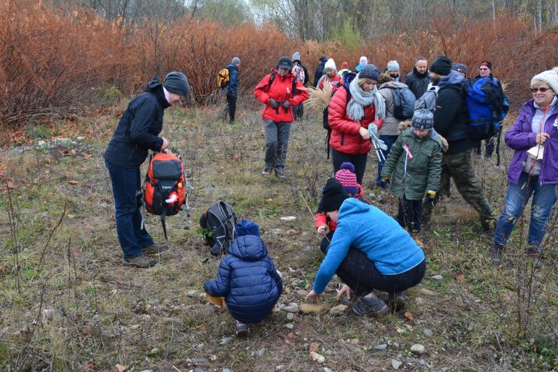 Suche ozysko Nysy Kodzkiej - nasze miejsce ogniskowe - ukadanie krgu