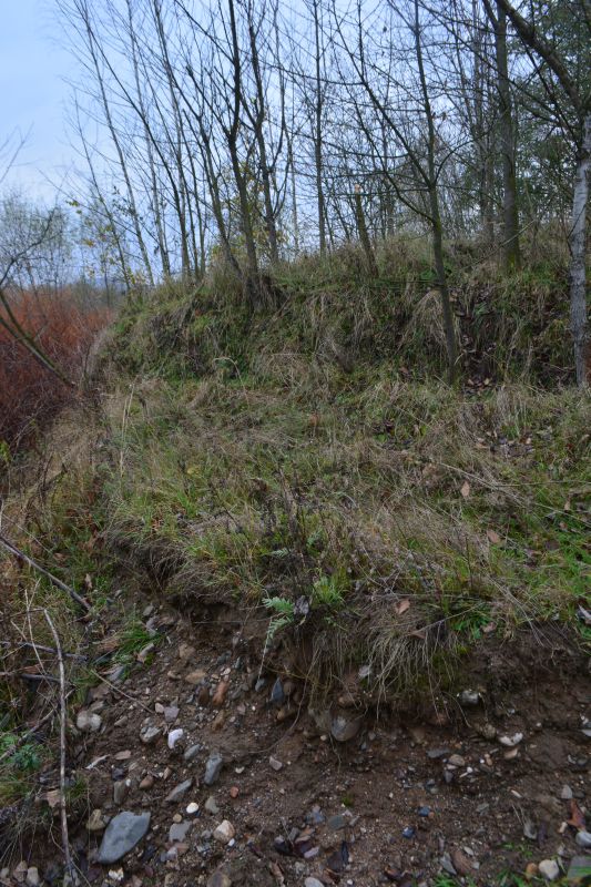 Suche ozysko Nysy Kodzkiej - nasze miejsce ogniskowe - przekrj przez strop drugiej terasy