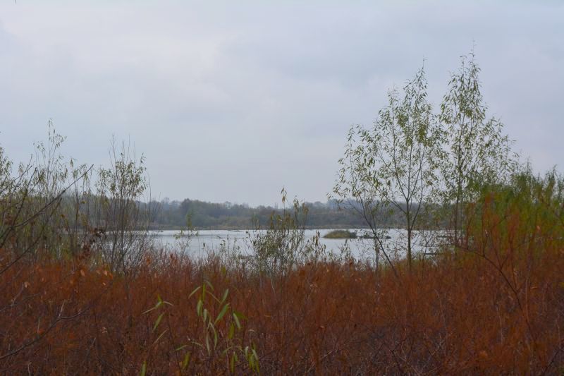 Suche ozysko Nysy Kodzkiej - nasze miejsce ogniskowe - widok na zalew