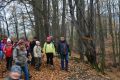 Janowiec - Wyruszylimy na zachd, z podwrka pani Katarzyny przez k do Zaczarowanego Jaru