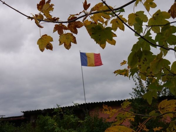 BS_40013.jpg