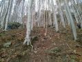 Strm vrch (Pile) - Mstsk dol - Kochanie id miao a ja na pewno zd Ci zapa w razie czego.