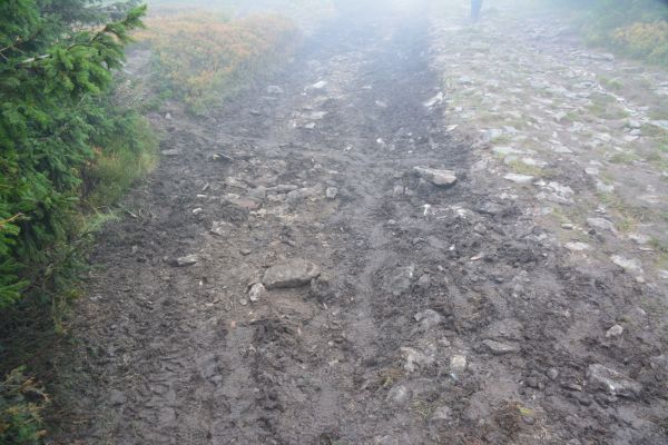 JZ_20201010_74950_szlak_zielony.jpg
