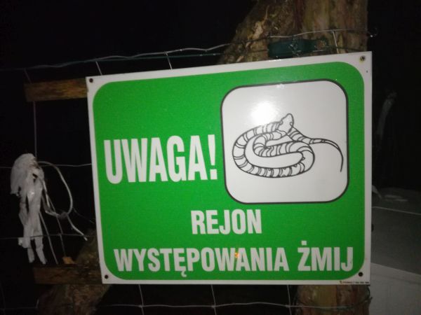 Uwaga na rzekome mije!