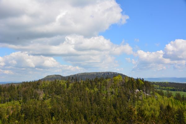 Widok z Naro�nika na Szczeli�ce